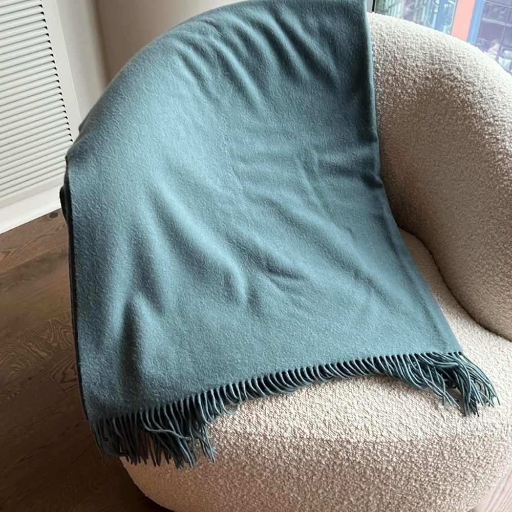 Williams Sonoma Home cashmere throw
